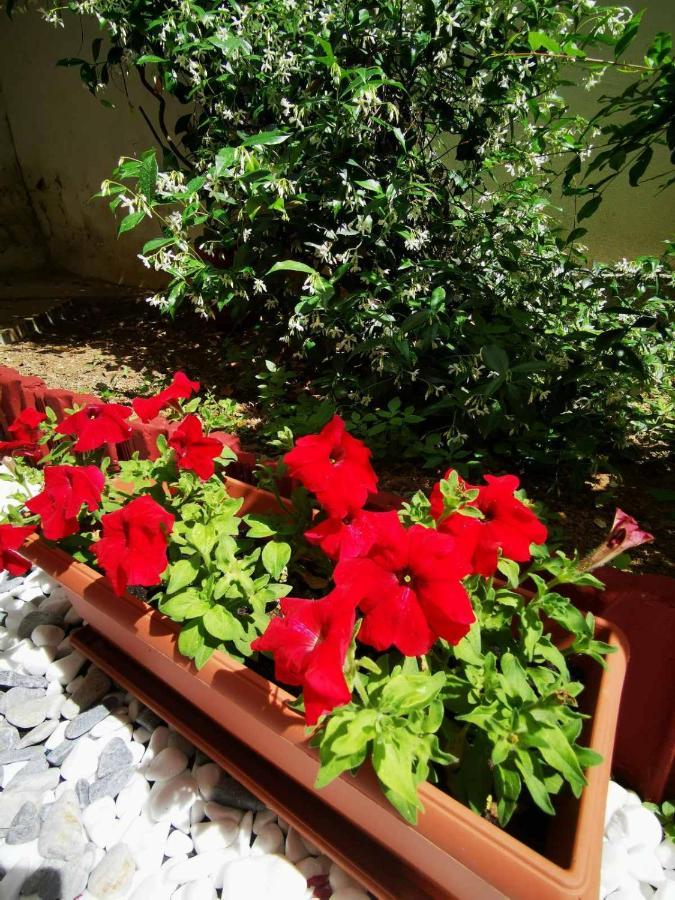 Hermes Modern Apartment Alexandroupoli Exterior foto